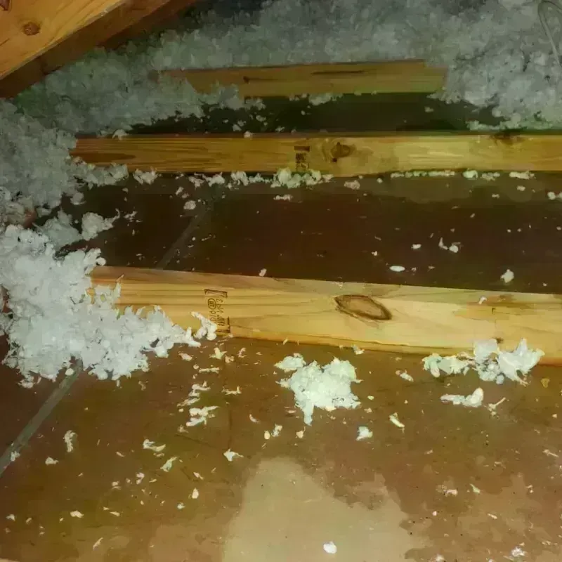 Attic Water Damage in Tamalpais Valley, CA